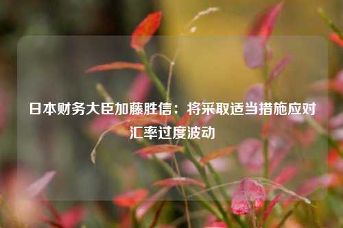 日本财务大臣加藤胜信：将采取适当措施应对汇率过度波动