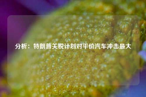 分析：特朗普关税计划对平价汽车冲击最大