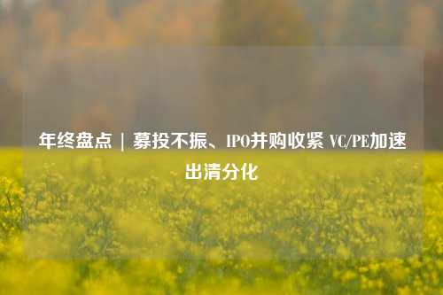 年终盘点 | 募投不振、IPO并购收紧 VC/PE加速出清分化