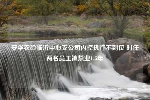 安华农险临沂中心支公司内控执行不到位 时任两名员工被禁业1-5年