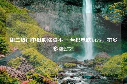 周二热门中概股涨跌不一 台积电跌1.45%，拼多多涨2.75%