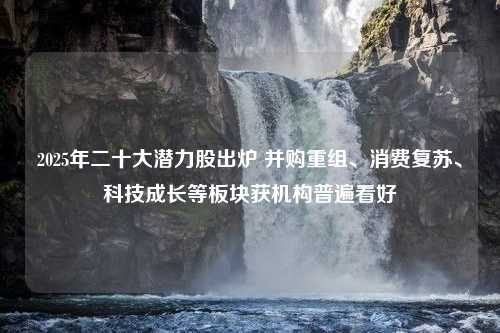 2025年二十大潜力股出炉 并购重组、消费复苏、科技成长等板块获机构普遍看好