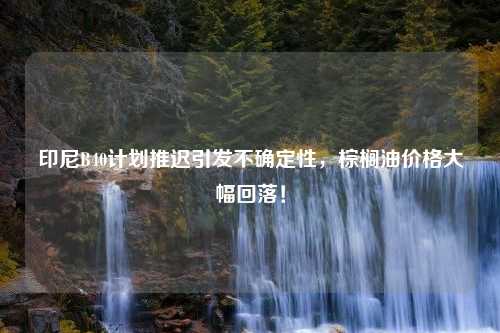 印尼B40计划推迟引发不确定性，棕榈油价格大幅回落！