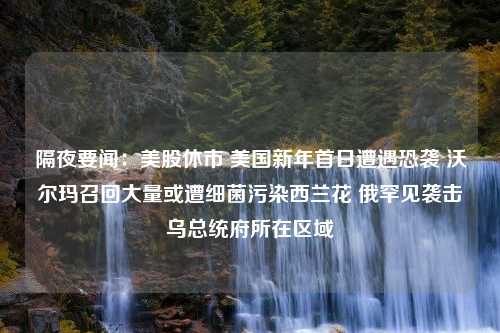 隔夜要闻：美股休市 美国新年首日遭遇恐袭 沃尔玛召回大量或遭细菌污染西兰花 俄罕见袭击乌总统府所在区域