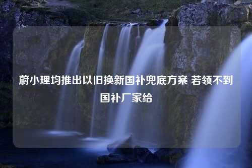 蔚小理均推出以旧换新国补兜底方案 若领不到国补厂家给