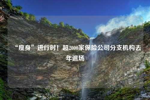 “瘦身”进行时！超2000家保险公司分支机构去年退场