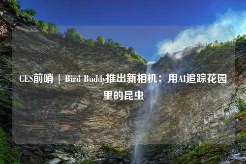 CES前哨 | Bird Buddy推出新相机：用AI追踪花园里的昆虫