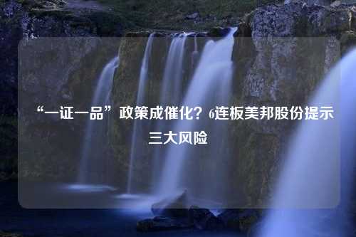 “一证一品”政策成催化？6连板美邦股份提示三大风险